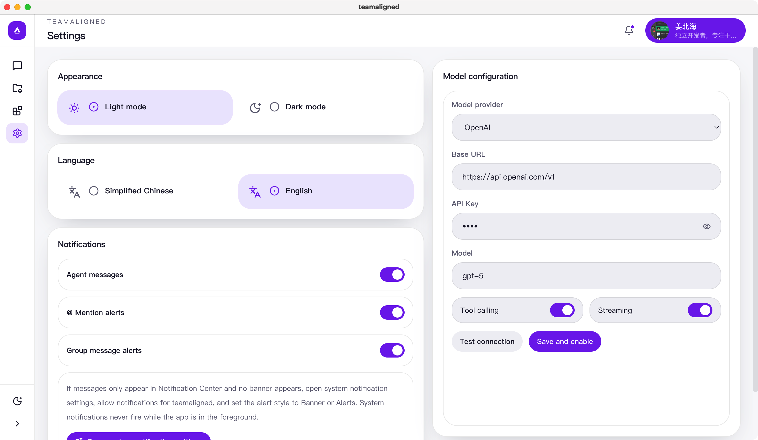 TeamAligned English model provider settings