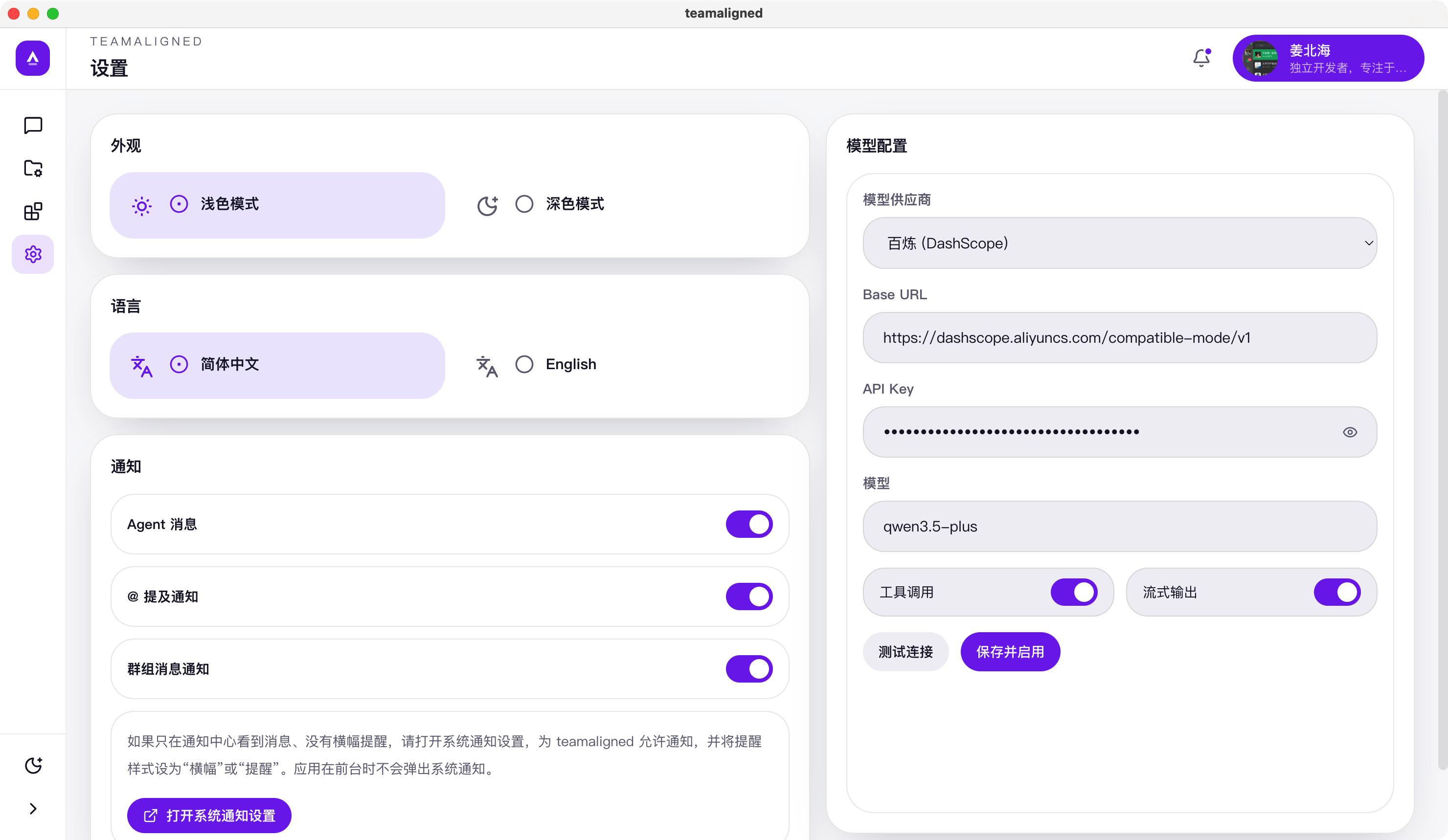 TeamAligned 中文模型 Provider 设置